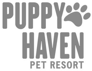 retail-security-atlanta-puppy-haven-pet-resort